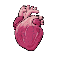 Heart Love Sticker by NickMarsh