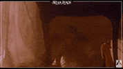 I See You Hide GIF by Arrow Video