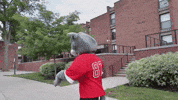 College Sports Spinning GIF by Clark University