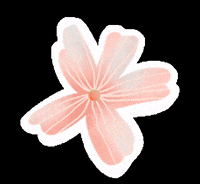 paninti oonew paninti GIF