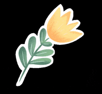 paninti oonew paninti GIF