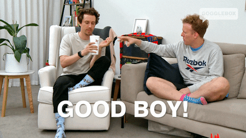 Happy Good Boy GIF by Gogglebox Australia