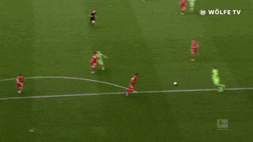 Wout Weghorst Football GIF by VfL Wolfsburg