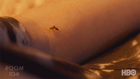 Flexing Jillian Bell GIF by Room104