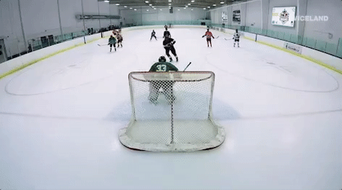 viceland GIF by HUANG'S WORLD