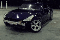 Tsz GIF