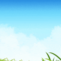 Vegan GIF by Desafío 22