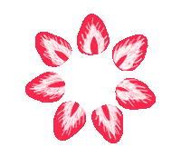 strawberry nanast Sticker