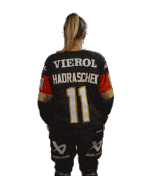 Ice Hockey Sticker by deb_teams