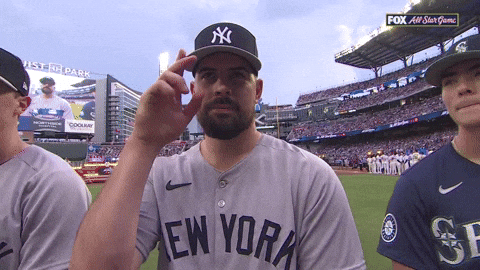 New York Yankees Sport GIF by MLB