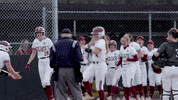Home Run Celebration GIF by Colgate Athletics