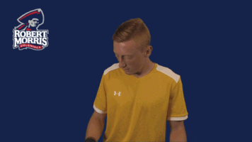 rmuathletics rmu robert morris robert morris university GIF