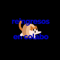Libros GIF by colabo
