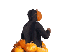 dance dancing Sticker by Tubi