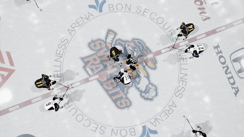 video game hockey GIF by Greenville Swamp Rabbits