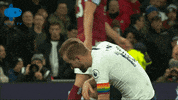Premierleague GIF by MolaTV