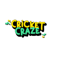 Worldcup Sticker by Playo App