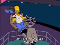 Season 9 GIF by The Simpsons