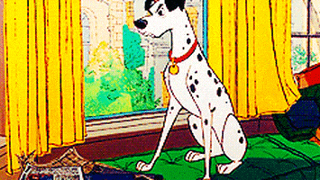pongo GIF