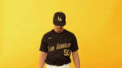 Cal State La Sport GIF by Cal State LA Golden Eagles
