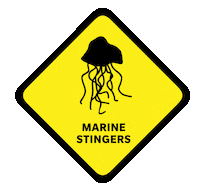 lifesavingqld beach danger jellyfish caution Sticker