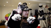Paw GIF
