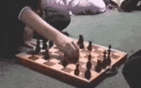 yes GIF