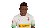 Denis Zakaria Bundesliga Sticker by Borussia Mönchengladbach