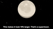 news space GIF