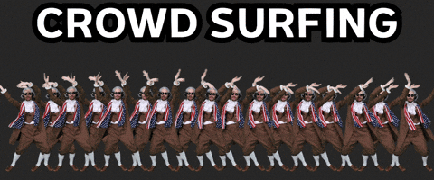 Music Festival Concert GIF