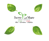 Italy Basil Sticker by Pesto di Pra