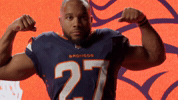 Denver Broncos Nfl GIF by Broncos
