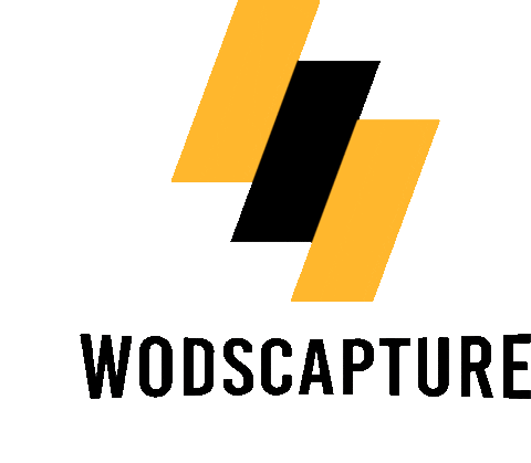 Crossfit Wodscapture Sticker by Gersanchez