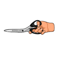 scissors schere Sticker by Animalon_Official