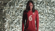 Elon Volleyball GIF by Elon Phoenix