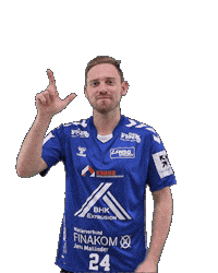 Handball Sticker by HSGSpradow