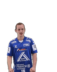 Handball Sticker by HSGSpradow