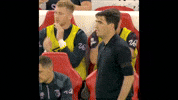 Premier League What GIF by AFC Bournemouth