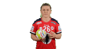 Handball Euro Sticker by EHF