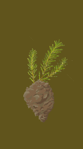 oak_sky giphyupload nature life time GIF