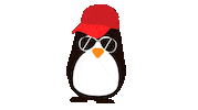 Ushuaiac marketing penguin app web Sticker