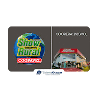 Somoscoop Sticker by Sistema Ocepar
