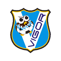 Soccer Sticker by Vigor Calcio Femminile