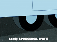 season 5 GIF by SpongeBob SquarePants