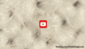 GIF by KQEDScience