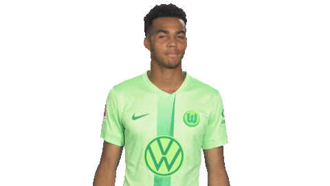 Germany Deal With It Sticker by VfL Wolfsburg
