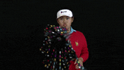 womens golf santiwiwatthanaphong GIF by LPGA