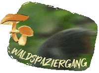 Bambi Tier Sticker by Druck und Werte Creatives