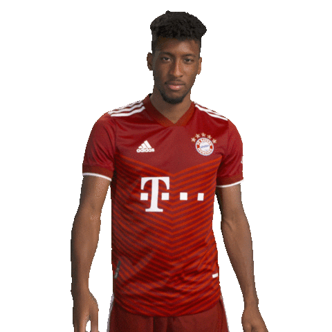 Whats Up Hello Sticker by FC Bayern Munich