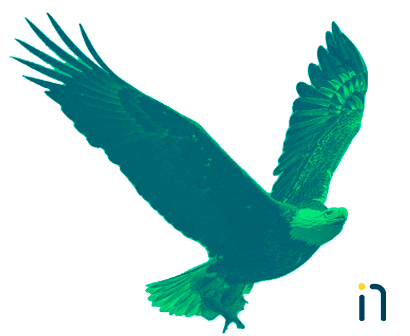 Bird Marketing Sticker by Ninho Digital
